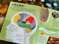 生活小百科1200例：1200个实用技巧让生活更轻松快乐