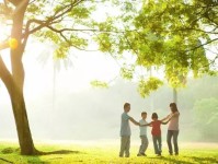 生活百科是什么意思？掌握这些实用技巧让生活更轻松快乐