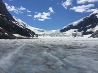 生活常识百科问答：解决日常难题的智慧宝库，让生活更轻松无忧