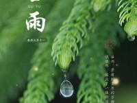 谷雨时节是几月几日？揭秘2024年谷雨日期与养生秘诀，轻松掌握节气变化