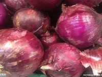 生活常识百科全书：轻松掌握日常必备技能，让生活更简单快乐