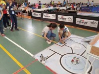 小学生十万个问题及答案大全：激发好奇心，让学习变快乐的知识宝库