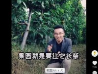 生活百科包括什么内容？掌握这些实用知识让日常生活更轻松高效