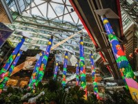 生活百科广播稿300字左右写作指南：轻松掌握口语化技巧，让听众秒懂实用知识