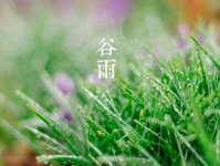 谷雨时节介绍：春雨润万物，养生正当时，轻松掌握节气智慧