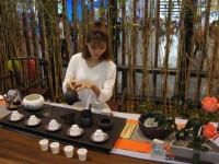 生活的百科全书是哪本书？揭秘这本随时待命的生活顾问，解决你日常所有难题