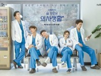 机智医生生活结局什么意思？揭秘开放式结局背后的温暖人生启示