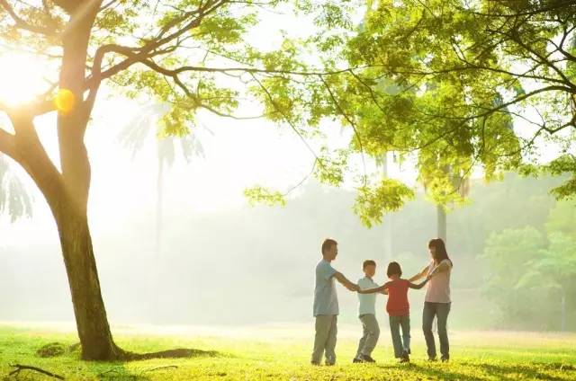 生活百科是什么意思？掌握这些实用技巧让生活更轻松快乐