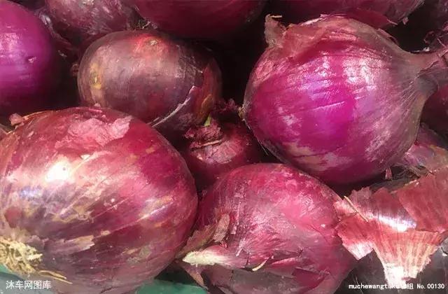 生活常识百科全书:轻松掌握日常必备技能,让生活更简单快乐 生活常识百科全书:轻松掌握日常必备技能,让生活更简单快乐