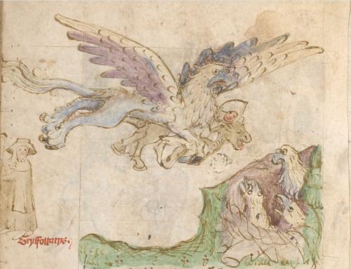 生活类百科知识竞赛题:掌握日常智慧,轻松应对趣味探险 生活类百科知识竞赛题:掌握日常智慧,轻松应对趣味探险