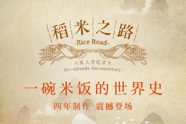 生活的百科全书是哪本书?揭秘这本随时待命的生活顾问,解决你日常所有难题 生活的百科全书是哪本书?揭秘这本随时待命的生活顾问,解决你日常所有难题