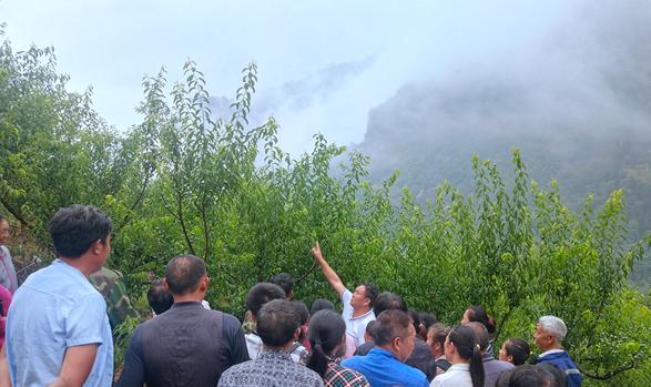 十万个为什么生活常识大全答案：轻松解决日常困惑，让生活更简单快乐