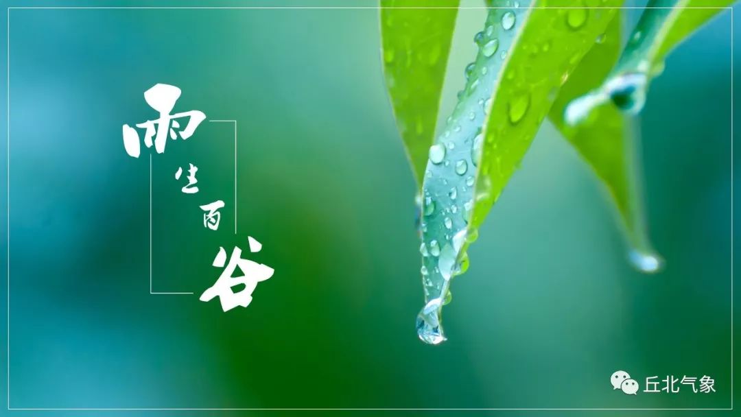 谷雨时节话谷雨：节气养生农事全攻略，轻松掌握春季最后一个节气的奥秘