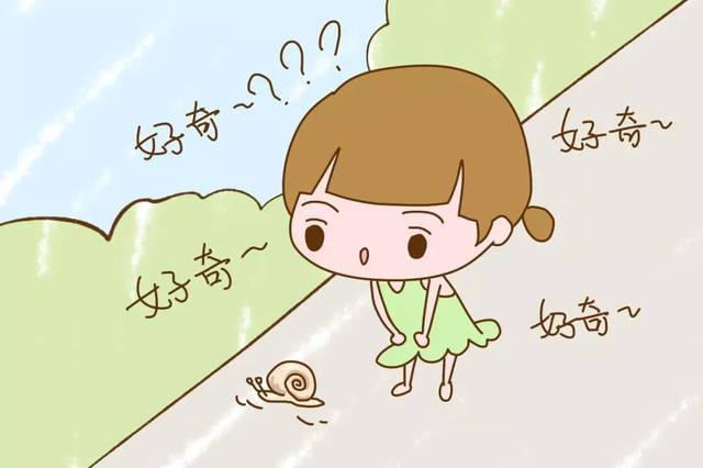 十万个问什么问题:开启孩子好奇心的科学启蒙之旅,让探索世界充满乐趣 十万个问什么问题:开启孩子好奇心的科学启蒙之旅,让探索世界充满乐趣