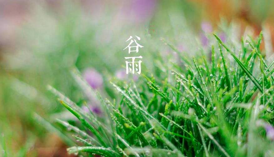 谷雨时节介绍:春雨润万物,养生正当时,轻松掌握节气智慧 谷雨时节介绍:春雨润万物,养生正当时,轻松掌握节气智慧