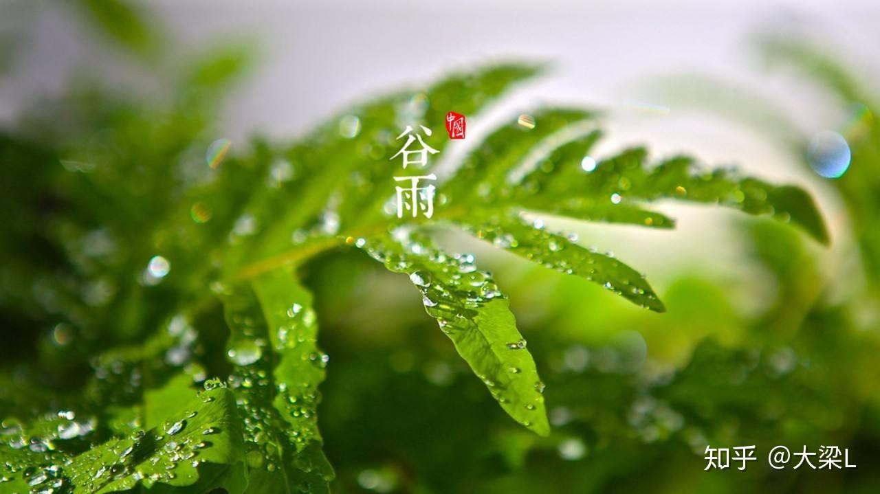 谷雨时节介绍:春雨润万物,养生正当时,轻松掌握节气智慧 谷雨时节介绍:春雨润万物,养生正当时,轻松掌握节气智慧