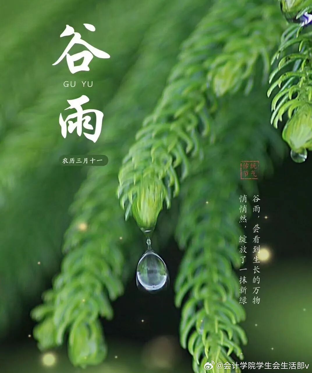 谷雨时节是几月几日?揭秘2024年谷雨日期与养生秘诀,轻松掌握节气变化 谷雨时节是几月几日?揭秘2024年谷雨日期与养生秘诀,轻松掌握节气变化