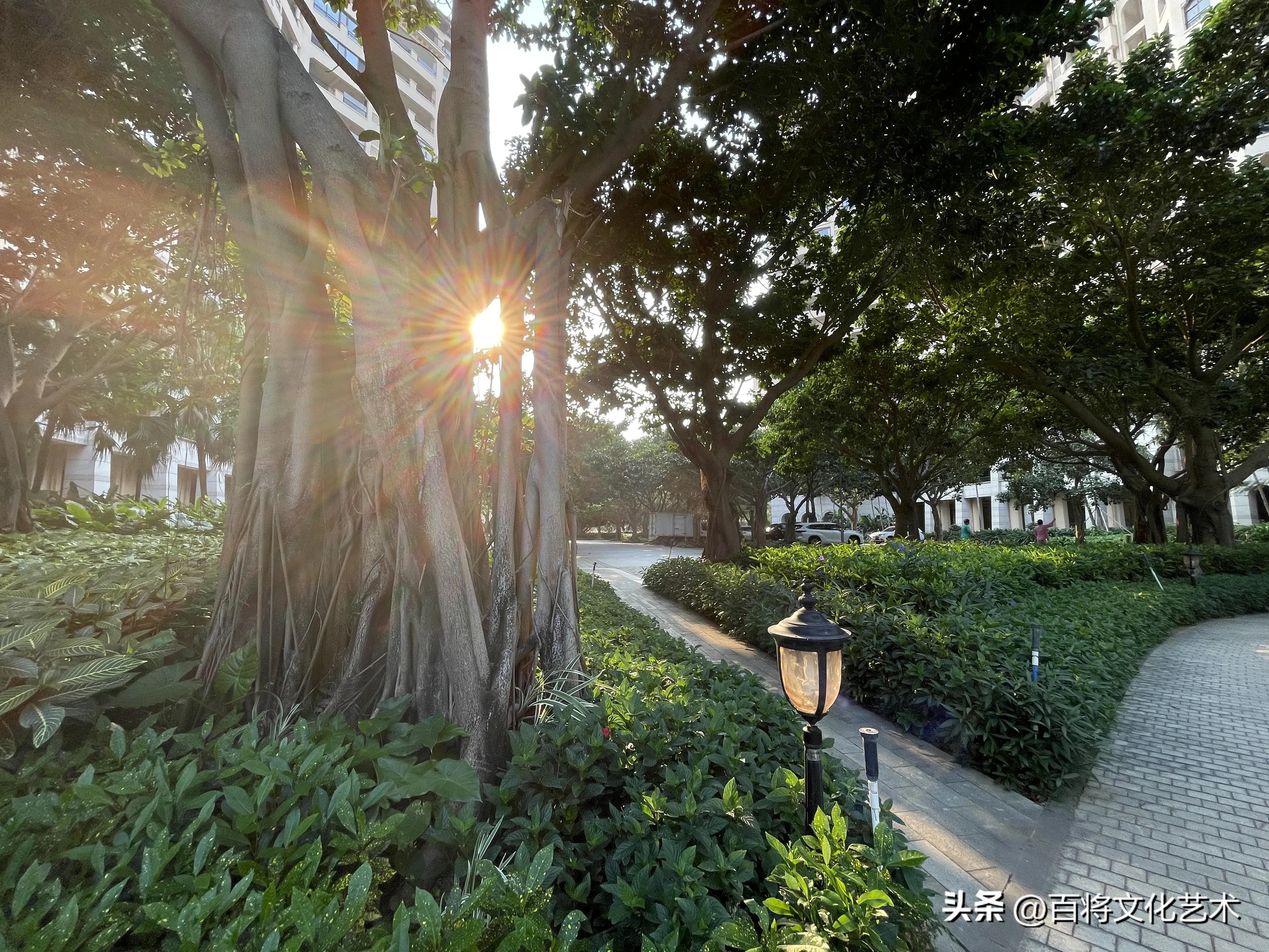 谷雨时节是什么意思?揭秘春雨滋润谷物生长的智慧与习俗 谷雨时节是什么意思?揭秘春雨滋润谷物生长的智慧与习俗